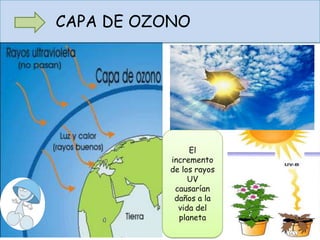 CAPA DE OZONO
El
incremento
de los rayos
UV
causarían
daños a la
vida del
planeta
 
