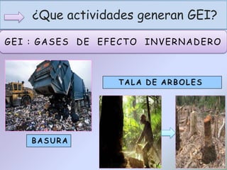 ¿Que actividades generan GEI?
GEI : GASES DE EFECTO INVERNADERO
BASURA
TALA DE ARBOLES
 