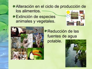 Alteración en el ciclo de producción de
los alimentos.
Extinción de especies
animales y vegetales.
Reducción de las
fuentes de agua
potable.
 