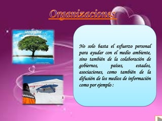 Definición
Antecedentes
Causas y consecuencias
Organizaciones
No solo basta el esfuerzo personal
para ayudar con el medio ambiente,
sino también de la colaboración de
gobiernos, países, estados,
asociaciones, como también de la
difusión de los medios de información
como por ejemplo :
 