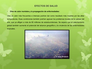 EFECTOS DE SALUD
•

Olas de calor mortales y la propagación de enfermedades:

Olas de calor más frecuentes e intensas podrían dar como resultado más muertes por las altas

temperaturas. Esas condiciones también podrían agravar los problemas locales de la calidad del
aire, que ya afligen a más de 80 millones de estadounidenses. Se espera que el calentamiento
global también aumente el potencial del alcance geográfico y la virulencia de las enfermedades
tropicales.

 