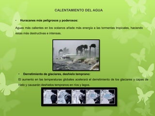 CALENTAMIENTO DEL AGUA
•

Huracanes más peligrosos y poderosos:

Aguas más calientes en los océanos añade más energía a las tormentas tropicales, haciendo
estas más destructivas e intensas.

•

Derretimiento de glaciares, deshielo temprano:

El aumento en las temperaturas globales acelerará el derretimiento de los glaciares y capas de
hielo y causarán deshielos tempranos en ríos y lagos.

 