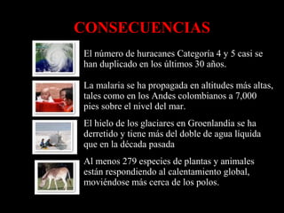 CONSECUENCIAS
El número de huracanes Categoría 4 y 5 casi se
han duplicado en los últimos 30 años.
La malaria se ha propagada en altitudes más altas,
tales como en los Andes colombianos a 7,000
pies sobre el nivel del mar.
El hielo de los glaciares en Groenlandia se ha
derretido y tiene más del doble de agua líquida
que en la década pasada
Al menos 279 especies de plantas y animales
están respondiendo al calentamiento global,
moviéndose más cerca de los polos.

 