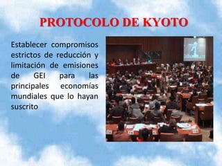 PROTOCOLO DE KYOTO
Establecer compromisos
estrictos de reducción y
limitación de emisiones
de
GEI
para
las
principales economías
mundiales que lo hayan
suscrito

 