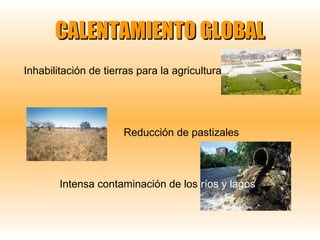 CALENTAMIENTO GLOBAL
Inhabilitación de tierras para la agricultura

Reducción de pastizales

Intensa contaminación de los ríos y lagos

 