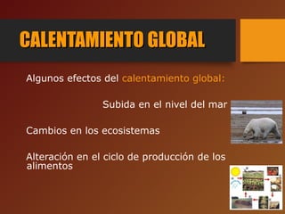 CALENTAMIENTO GLOBALCALENTAMIENTO GLOBAL
Algunos efectos del calentamiento global:
Subida en el nivel del mar
Cambios en los ecosistemas
Alteración en el ciclo de producción de los
alimentos
 