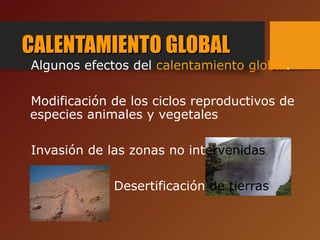 CALENTAMIENTO GLOBALCALENTAMIENTO GLOBAL
Algunos efectos del calentamiento global.
Modificación de los ciclos reproductivos de
especies animales y vegetales
Invasión de las zonas no intervenidas
Desertificación de tierras
 