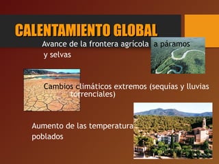 CALENTAMIENTO GLOBALCALENTAMIENTO GLOBAL
Avance de la frontera agrícola a páramos
y selvas
Cambios climáticos extremos (sequías y lluvias
torrenciales)
Aumento de las temperaturas en los centros
poblados
 