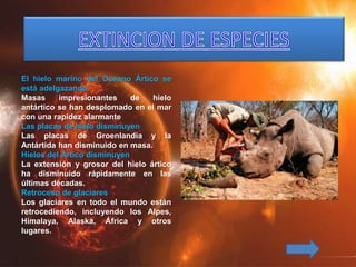 El hielo marino del Océano Ártico se
está adelgazando.
Masas impresionantes de hielo
antártico se han desplomado en el mar
con una rapidez alarmante
Las placas de hielo disminuyen
Las placas de Groenlandia y la
Antártida han disminuido en masa.
Hielos del Ártico disminuyen
La extensión y grosor del hielo ártico
ha disminuido rápidamente en las
últimas décadas.
Retroceso de glaciares
Los glaciares en todo el mundo están
retrocediendo, incluyendo los Alpes,
Himalaya, Alaska, África y otros
lugares.
 