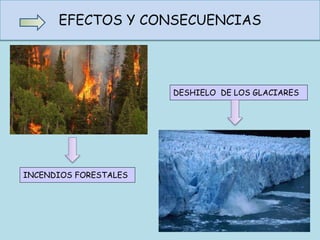 EFECTOS Y CONSECUENCIAS
DESHIELO DE LOS GLACIARES
INCENDIOS FORESTALES
 