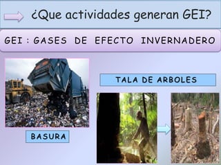 ¿Que actividades generan GEI?
GEI : GASES DE EFECTO INVERNADERO
BASURA
TALA DE ARBOLES
 