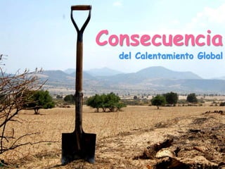Consecuencia
del Calentamiento Global
 