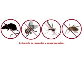 2. Aumento de mosquitos y plagas tropicales.
 