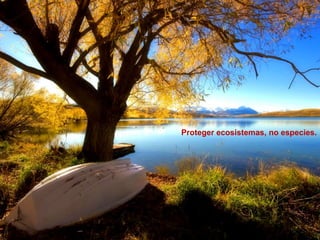 Proteger ecosistemas, no especies.
 