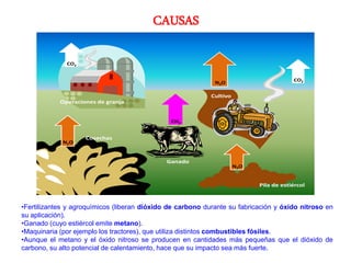 Cultivo
Operaciones de granja
CO2
CO2N2O
N2O
N2O
Cosechas
Ganado
Pila de estiércol
CH2
CAUSAS
•Fertilizantes y agroquímicos (liberan dióxido de carbono durante su fabricación y óxido nitroso en
su aplicación).
•Ganado (cuyo estiércol emite metano).
•Maquinaria (por ejemplo los tractores), que utiliza distintos combustibles fósiles.
•Aunque el metano y el óxido nitroso se producen en cantidades más pequeñas que el dióxido de
carbono, su alto potencial de calentamiento, hace que su impacto sea más fuerte.
 