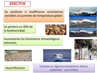 EFECTOS
Se perderá un 40% de
la biodiversidad
Se perderán o modificaran ecosistemas
sensibles al aumento de temperatura global
Aumentarán los fenómenos climatológicos
extremos.
Desertificación
Cambios en algunos ecosistemas árticos,
antárticos y en el Perú
 