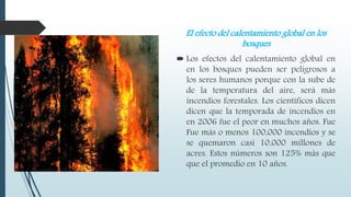 El efecto del calentamiento global en los
bosques
 Los efectos del calentamiento global en
en los bosques pueden ser peligrosos a
los seres humanos porque con la sube de
de la temperatura del aire, será más
incendios forestales. Los científicos dicen
dicen que la temporada de incendios en
en 2006 fue el peor en muchos años. Fue
Fue más o menos 100,000 incendios y se
se quemaron casi 10,000 millones de
acres. Estos números son 125% más que
que el promedio en 10 años.
 