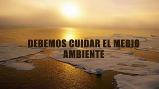 DEBEMOS CUIDAR EL MEDIO
AMBIENTE
 