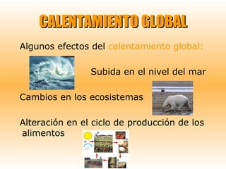 CALENTAMIENTO GLOBALCALENTAMIENTO GLOBAL
Algunos efectos del calentamiento global:
Subida en el nivel del mar
Cambios en los ecosistemas
Alteración en el ciclo de producción de los
alimentos
 