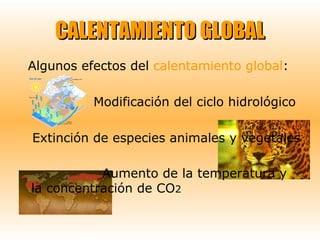 CALENTAMIENTO GLOBALCALENTAMIENTO GLOBAL
Algunos efectos del calentamiento global:
Modificación del ciclo hidrológico
Extinción de especies animales y vegetales
Aumento de la temperatura y
la concentración de CO2
 