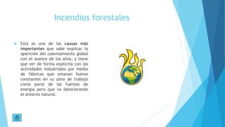 Incendios forestales
 Esta es una de las causas más
importantes que sabe explicar la
aparición del calentamiento global
con el avance de los años; y tiene
que ver de forma explícita con las
actividades industriales por medio
de fábricas que emanan humos
constantes en su zona de trabajo
como parte de las fuentes de
energía pero que va deteriorando
el entorno natural.
 