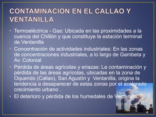 • Termoeléctrica - Gas: Ubicada en las proximidades a la
cuenca del Chillón y que constituye la estación terminal
de Ventanilla
• Concentración de actividades industriales: En las zonas
de concentraciones industriales, a lo largo de Gambeta y
Av. Colonial
• Pérdida de áreas agrícolas y eriazas: La contaminación y
pérdida de las áreas agrícolas, ubicadas en la zona de
Oquendo (Callao), San Agustín y Ventanilla, origina la
tendencia a desaparecer de estas zonas por el acelerado
crecimiento urbano .
• El deterioro y pérdida de los humedales de Ventanilla.
 