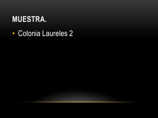 Muestra.Colonia Laureles 2 