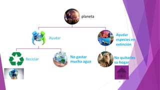 15
planeta
Reciclar
No gastar
mucha agua
No quitarles
su hogar
Ayudar
especies en
extinción
Ayudar
 