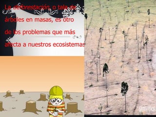 La deforestación, o tala de

árboles en masas, es otro

de los problemas que más

afecta a nuestros ecosistemas.
 