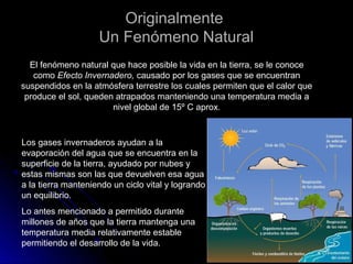 OriginalmenteOriginalmente
Un Fenómeno NaturalUn Fenómeno Natural
El fenómeno natural que hace posible la vida en la tierra, se le conoce
como Efecto Invernadero, causado por los gases que se encuentran
suspendidos en la atmósfera terrestre los cuales permiten que el calor que
produce el sol, queden atrapados manteniendo una temperatura media a
nivel global de 15º C aprox.
Los gases invernaderos ayudan a la
evaporación del agua que se encuentra en la
superficie de la tierra, ayudado por nubes y
estas mismas son las que devuelven esa agua
a la tierra manteniendo un ciclo vital y logrando
un equilibrio.
Lo antes mencionado a permitido durante
millones de años que la tierra mantenga una
temperatura media relativamente estable
permitiendo el desarrollo de la vida.
 