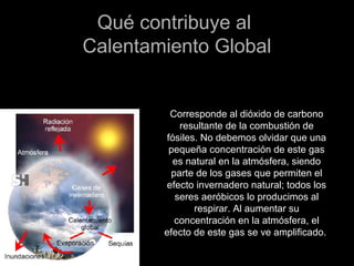 Qué contribuye alQué contribuye al
Calentamiento GlobalCalentamiento Global
Corresponde al dióxido de carbono
resultante de la combustión de
fósiles. No debemos olvidar que una
pequeña concentración de este gas
es natural en la atmósfera, siendo
parte de los gases que permiten el
efecto invernadero natural; todos los
seres aeróbicos lo producimos al
respirar. Al aumentar su
concentración en la atmósfera, el
efecto de este gas se ve amplificado.
 