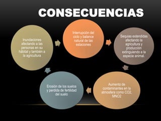 CONSECUENCIAS
Interrupción del
ciclo y balance
natural de las
estaciones
Sequias extendidas
afectando la
agricultura y
producción
extinguiendo a la
especie animal.
Aumento de
contaminantes en la
atmosfera como CO2,
MNO2
Erosión de los suelos
y perdida de fertilidad
del suelo
Inundaciones
afectando a las
personas en su
hábitat y también a
la agricultura