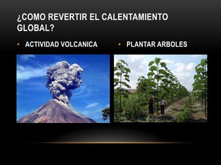 • ACTIVIDAD VOLCANICA • PLANTAR ARBOLES
¿COMO REVERTIR EL CALENTAMIENTO
GLOBAL?