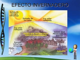 EFECTO INVERNADERO 