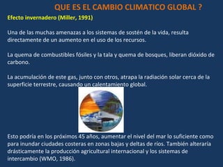 Efecto invernadero (Miller, 1991)   Una de las muchas amenazas a los sistemas de sostén de la vida, resulta directamente de un aumento en el uso de los recursos.  La quema de combustibles fósiles y la tala y quema de bosques, liberan dióxido de carbono.  La acumulación de este gas, junto con otros, atrapa la radiación solar cerca de la superficie terrestre, causando un calentamiento global.  Esto podría en los próximos 45 años, aumentar el nivel del mar lo suficiente como para inundar ciudades costeras en zonas bajas y deltas de ríos. También alteraría drásticamente la producción agricultural internacional y los sistemas de intercambio (WMO, 1986). QUE ES EL CAMBIO CLIMATICO GLOBAL ? 