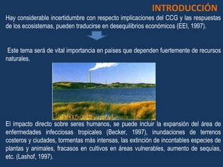 Hay considerable incertidumbre con respecto implicaciones del CCG y las respuestas de los ecosistemas, pueden traducirse en desequilibrios económicos (EEI, 1997). Este tema será de vital importancia en países que dependen fuertemente de recursos naturales. El impacto directo sobre seres humanos, se puede incluir la expansión del área de enfermedades infecciosas tropicales (Becker, 1997), inundaciones de terrenos costeros y ciudades, tormentas más intensas, las extinción de incontables especies de plantas y animales, fracasos en cultivos en áreas vulnerables, aumento de sequías, etc. (Lashof, 1997 ). INTRODUCCIÓN 