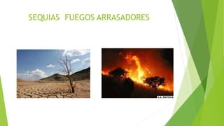 SEQUIAS FUEGOS ARRASADORES
 