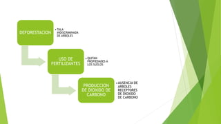 DEFORESTACION
• TALA
INDISCRIMINADA
DE ARBOLES
USO DE
FERTILIZANTES
• QUITAN
PROPIEDADES A
LOS SUELOS
PRODUCCION
DE DIOXIDO DE
CARBONO
•AUSENCIA DE
ARBOLES
RECEPTORES
DE DIOXIDO
DE CARBONO
 