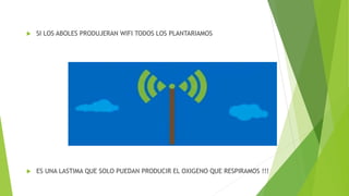  SI LOS ABOLES PRODUJERAN WIFI TODOS LOS PLANTARIAMOS
 ES UNA LASTIMA QUE SOLO PUEDAN PRODUCIR EL OXIGENO QUE RESPIRAMOS !!!
 