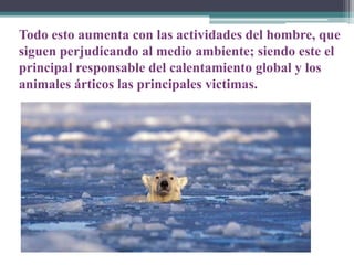 Todo esto aumenta con las actividades del hombre, que
siguen perjudicando al medio ambiente; siendo este el
principal responsable del calentamiento global y los
animales árticos las principales victimas.

 