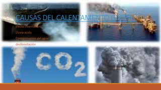 CAUSAS DEL CALENTAMENTO GLOBAL
Efecto invernadero
Lluvia acida
Contaminación del agua
desforestación
 