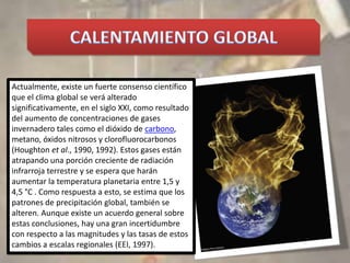 CALENTAMIENTO GLOBALActualmente, existe un fuerte consenso científico que el clima global se verá alterado significativamente, en el siglo XXI, como resultado del aumento de concentraciones de gases invernadero tales como el dióxido de carbono, metano, óxidos nitrosos y clorofluorocarbonos (Houghton et al., 1990, 1992). Estos gases están atrapando una porción creciente de radiación infrarroja terrestre y se espera que harán aumentar la temperatura planetaria entre 1,5 y 4,5 °C . Como respuesta a esto, se estima que los patrones de precipitación global, también se alteren. Aunque existe un acuerdo general sobre estas conclusiones, hay una gran incertidumbre con respecto a las magnitudes y las tasas de estos cambios a escalas regionales (EEI, 1997). 