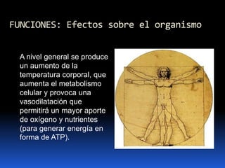 FUNCIONES: Efectos sobre el organismo
A nivel general se produce
un aumento de la
temperatura corporal, que
aumenta el metabolismo
celular y provoca una
vasodilatación que
permitirá un mayor aporte
de oxígeno y nutrientes
(para generar energía en
forma de ATP).
 
