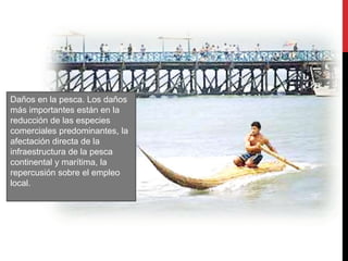 Daños en la pesca. Los daños
más importantes están en la
reducción de las especies
comerciales predominantes, la
afectación directa de la
infraestructura de la pesca
continental y marítima, la
repercusión sobre el empleo
local.
 