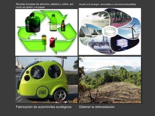Reciclar envases de aluminio, plástico y vidrio, así 
como el cartón y el papel 
Fabricación de automóviles ecológicos 
Acudir a la energía renovable y a los bíocombustibles 
Detener la deforestación 
 