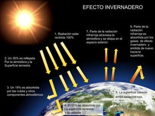 1. Radiación solar 
recibida 100% 
2. Un 30% es reflejada 
Por la atmósfera y la 
Superficie terrestre. 
3. Un 19% es absorbida 
por las nubes y otros 
componentes atmosféricos 
EFECTO INVERNADERO 
7. Parte de la radiación 
infrarroja atraviesa la 
atmósfera y se disipa en el 
espacio exterior. 
4. El 51% es absorbida por 
La superficie terrestre 
Y la calienta 
6. Parte de la 
radiación 
infrarroja es 
absorbida por los 
gases de efecto 
invernadero y 
emitida de nuevo 
hacia la 
superficie. 
5. La superficie caliente 
emite radiación roja. 
 