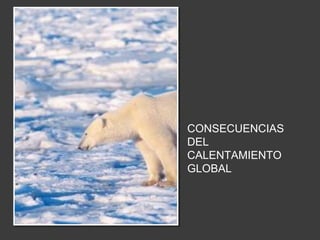 CONSECUENCIAS 
DEL 
CALENTAMIENTO 
GLOBAL 
 