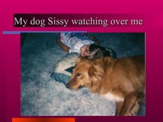 My dog Sissy watching over me 