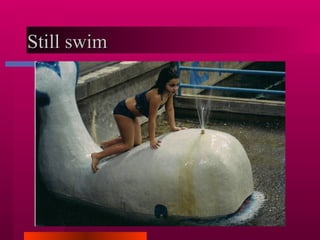 Still swim  