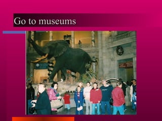 Go to museums  